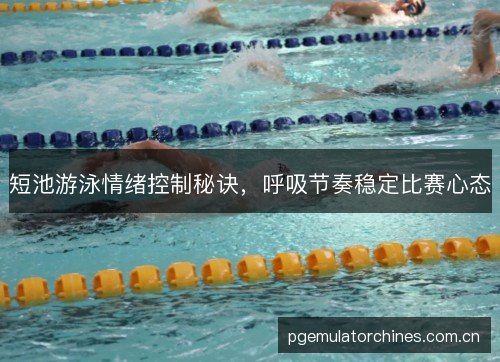 短池游泳情绪控制秘诀,呼吸节奏稳定比赛心态 短池游泳情绪控制秘诀,呼吸节奏稳定比赛心态